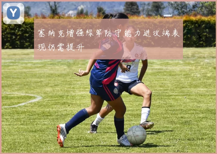 塞纳克增强绿军防守能力进攻端表现仍需提升